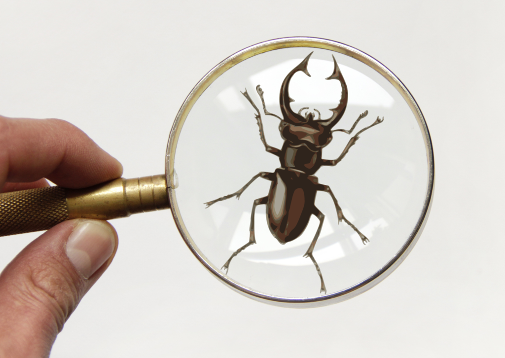 insetos_a_lupa