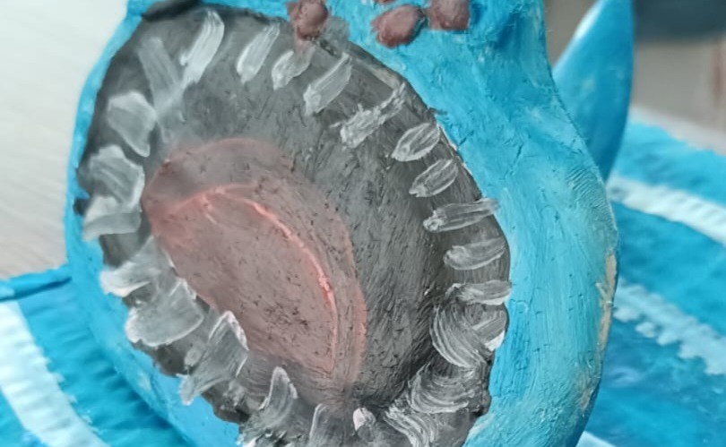 carranca_14_fev_2026