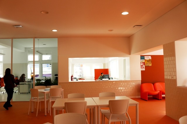 Img 9386 1 1024 2500