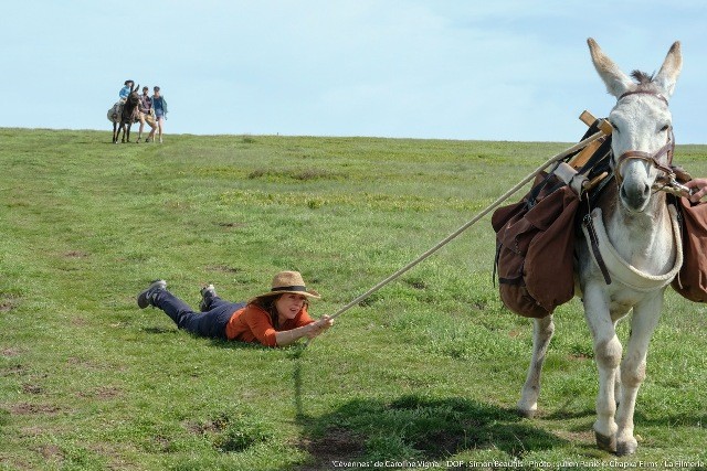 O meu burro o meu amante e eu 1 1024 2500