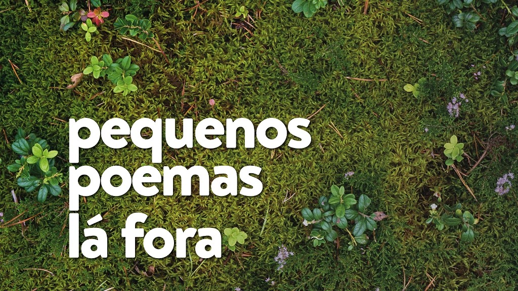 Face2 mnd pequenos poemas la fora low v5 1 1 1024 2500