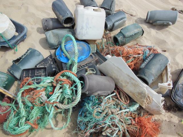 Limpeza da praia 1 1024 2500