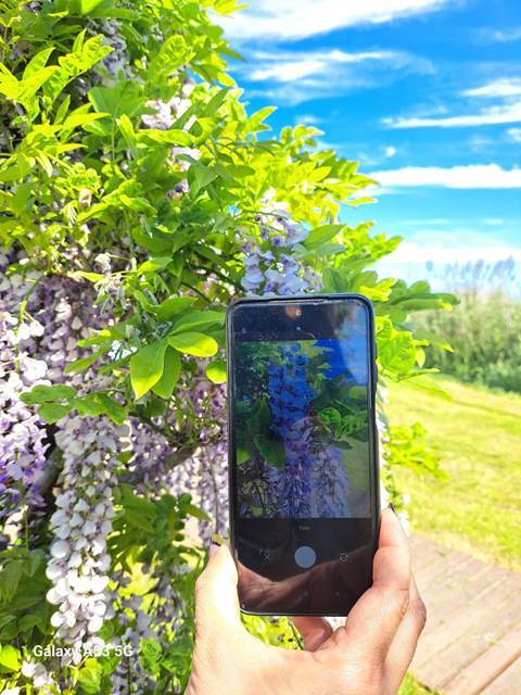 natureza_num_clique_1
