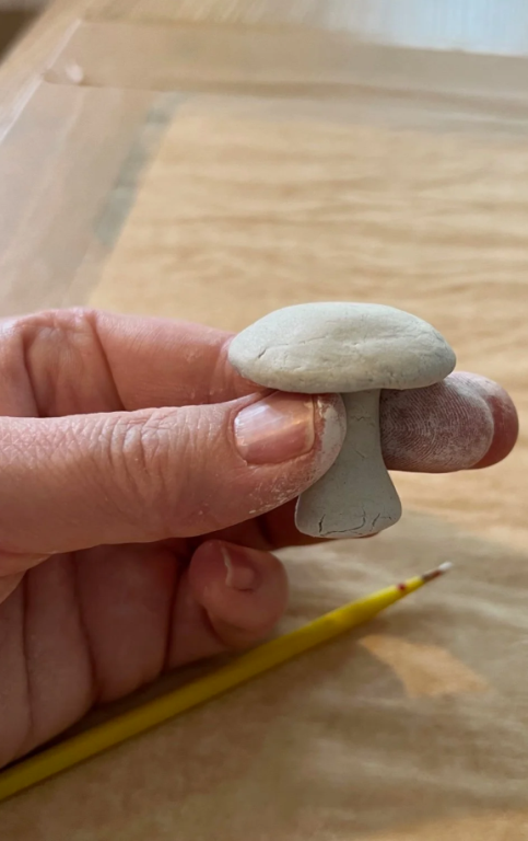 cogumelo_de_barro_1