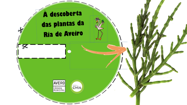 roda_das_plantas_
