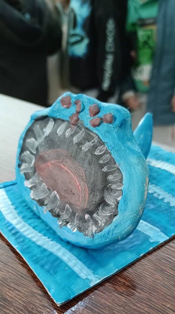 carranca_14_fev_2026