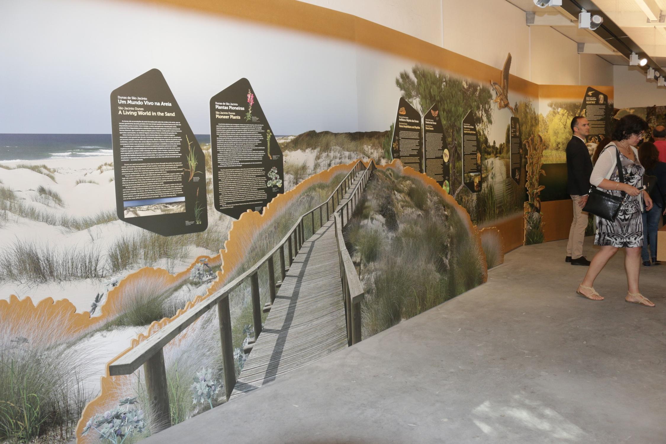 Img 0009 1 2500 1500