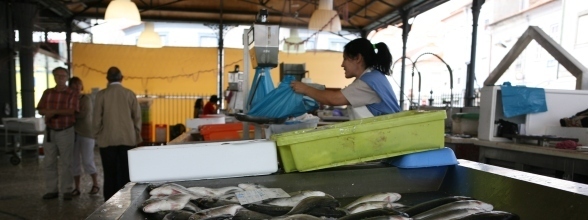 OBRAS DE REQUALIFICAÇÃO DO MERCADO DO PEIXE 