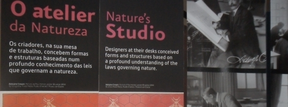 NATUREZAS DA ARTE NOVA EXPOSTAS EM AVEIRO