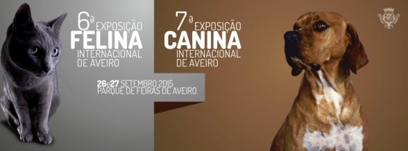 600 ANIMAIS DE COMPANHIA NA EXPOSIÇÃO CANINA E FELINA 