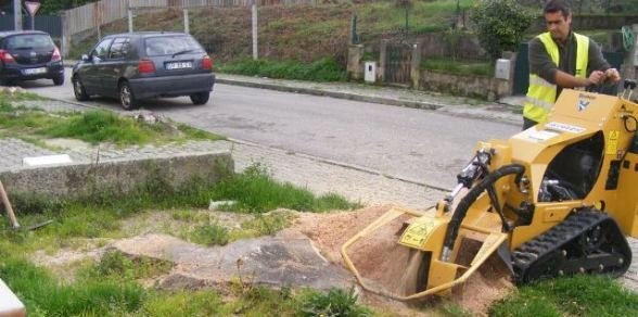 PRESTAÇÃO DE SERVIÇOS PARA DESTROÇAMENTO DE CEPOS DE ÁRVORES