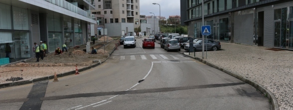 CONDICIONAMENTO TRÂNSITO-PAVIMENTAÇÕES E ARRANJOS URBANÍSTICOS