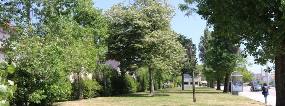 JARDIM DO BAIRRO DA GULBENKIAN-PARQUE INFANTIL E ZONA BAIRRO DA BELA VISTA