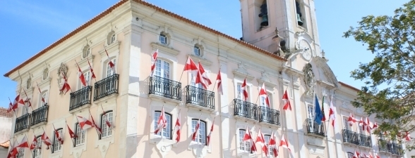 REGULAMENTOS MUNICIPAIS - REVISÃO