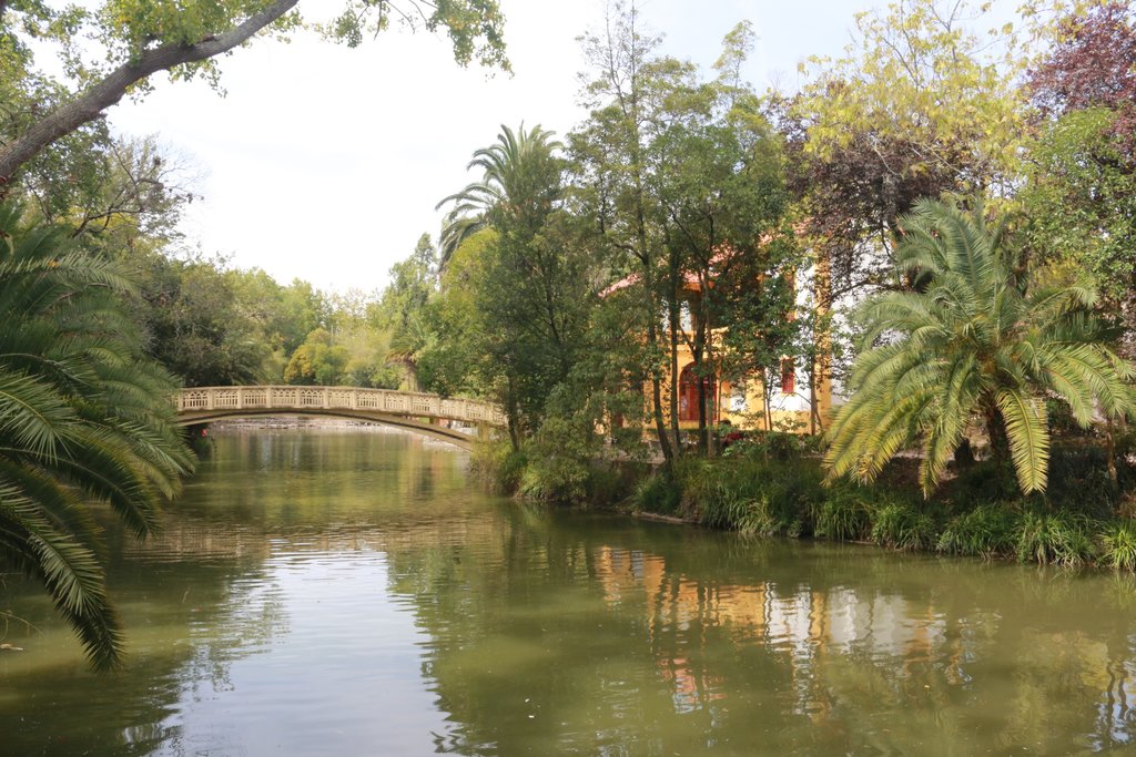 AUMENTO DE 160 NOVAS ÁRVORES NO PARQUE DA CIDADE