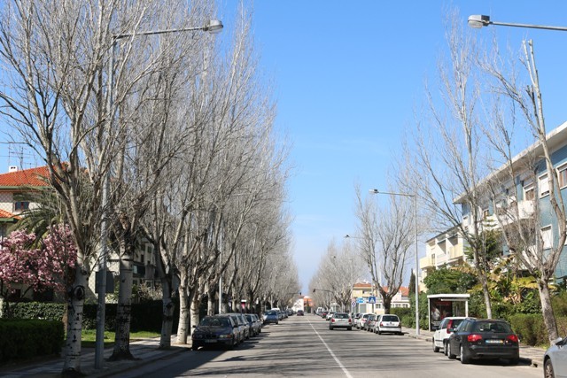 PROJETO DE REQUALIFICAÇÃO URBANA DA AV. 25 DE ABRIL