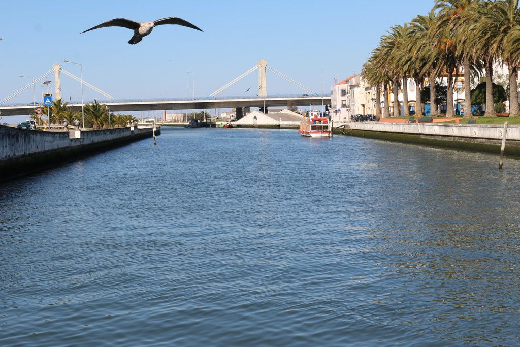 GESTÃO, ORDENAMENTO E PRESERVAÇÃO DOS CANAIS URBANOS DA RIA DE AVEIRO