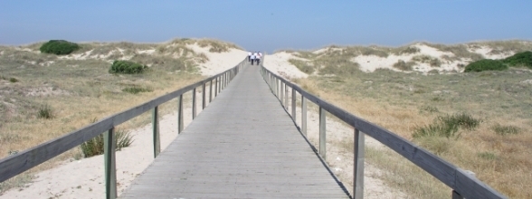PRAIA DE SÃO JACINTO OBTÉM BANDEIRA AZUL