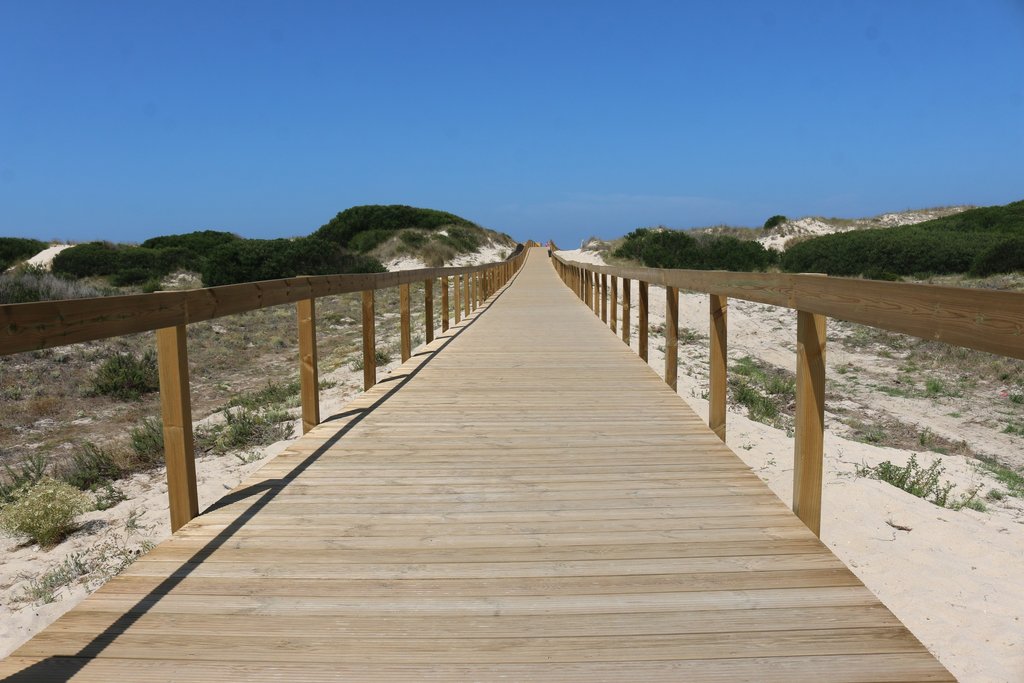 GESTÃO DO APOIO DA PRAIA DE SÃO JACINTO