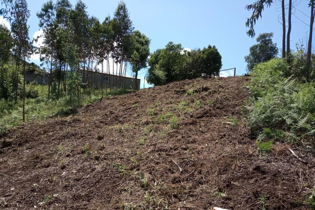 PLANO OPERACIONAL MUNICIPAL PARA PREVENÇÃO E COMBATE CONTRA INCÊNDIOS