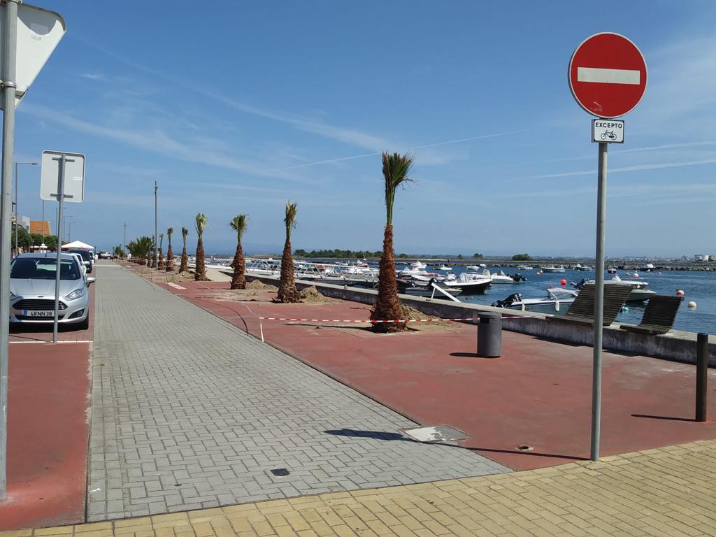 27 NOVAS ÁRVORES NA MARGINAL FRENTE-RIA 