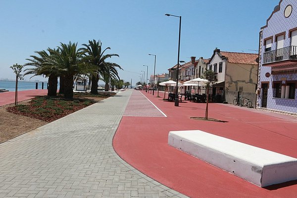 marginalsjaicnto_1_1024_2500