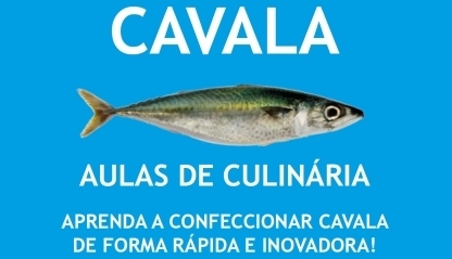 AULAS DE CULINÁRIA 