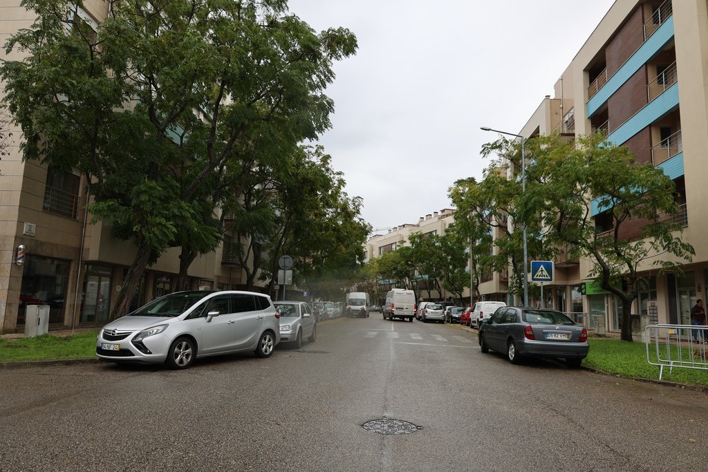 MONITORIZAÇÃO DO PARQUE ARBÓREO DA RUA ENG. CARLOS BÓIA