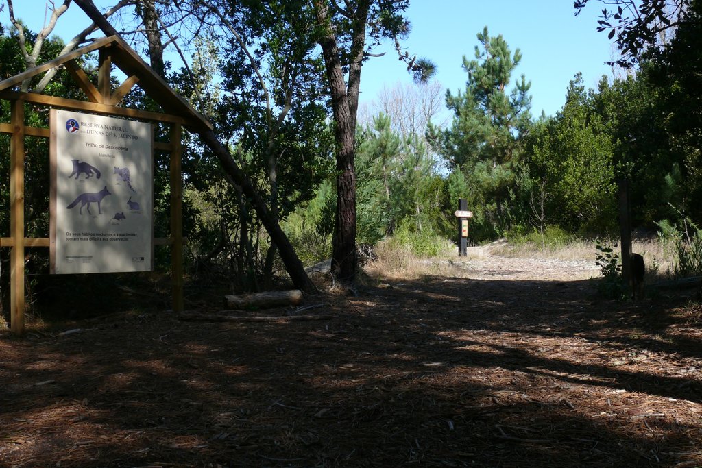 Apresentação do Plano de Cogestão da Reserva Natural das Dunas de São Jacinto