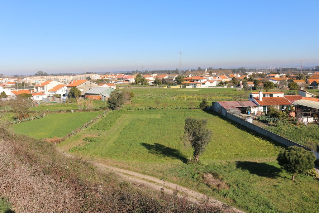 Limpeza de terrenos rurais