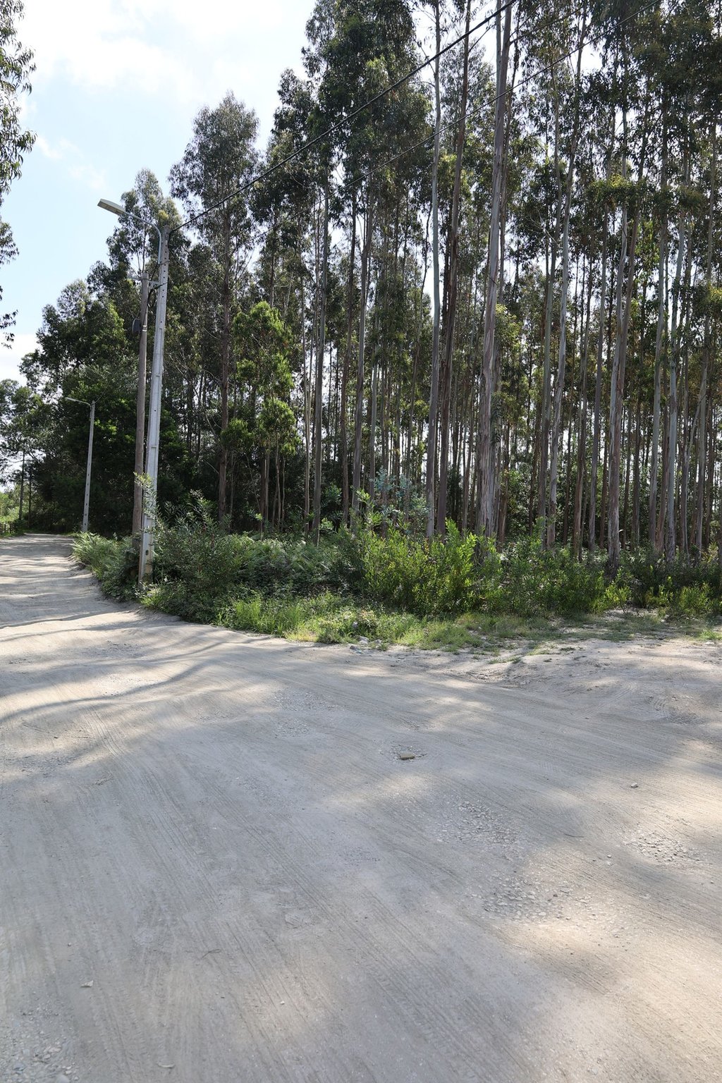 Trabalho da Comissão Municipal de Gestão Integrada dos Fogos Rurais