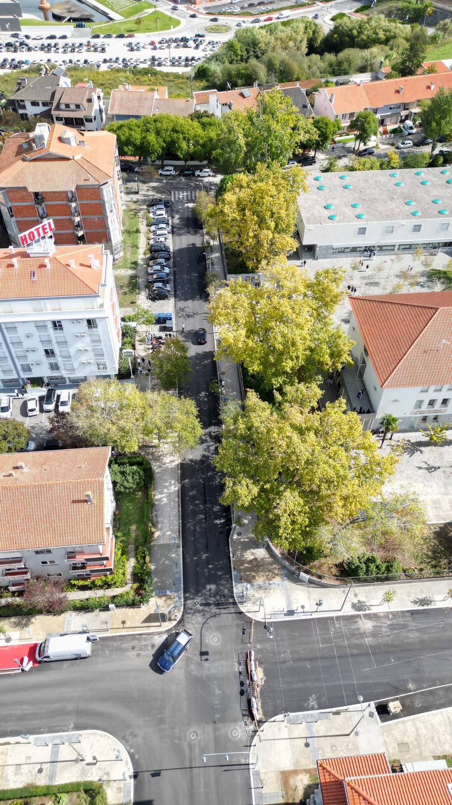 Implementação de sentido único na Rua D. Afonso V