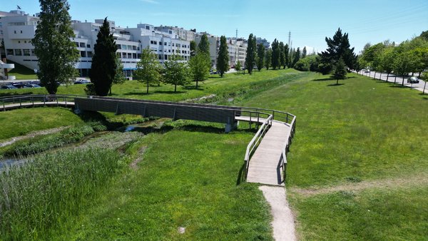 dji_0206