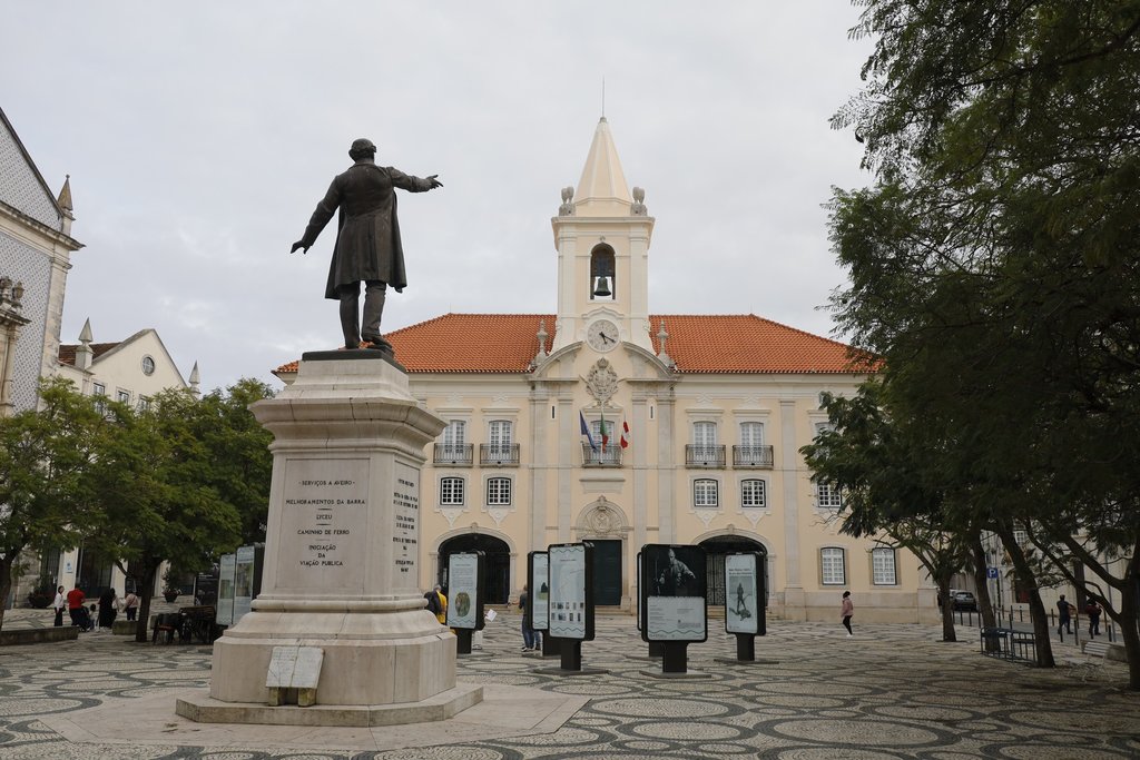 Portagens na A25: posição da CMA