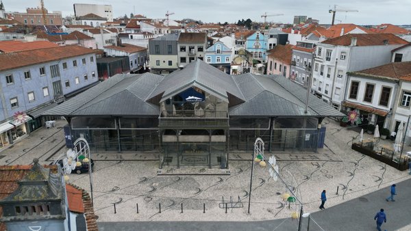 dji_fly_20250124_163200_435_1737736522546_photo