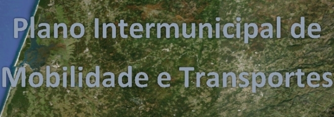 INQUÉRITO OBJETIVOS PIMTRA