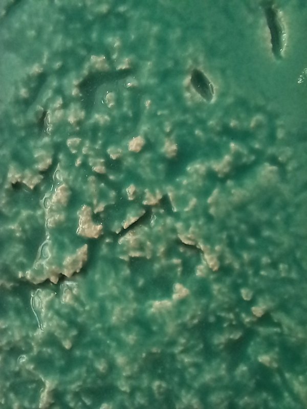 cartaz_ecos_fissuras_e_mundos_nas_maos_ana_amaral