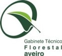 gabinete_flotestal_123