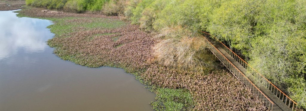 percursos_natureza