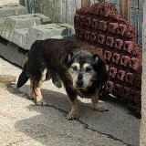 Encontrado A25 ao PK 13+800 [30jul2026]