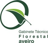 gabinete_flotestal_site